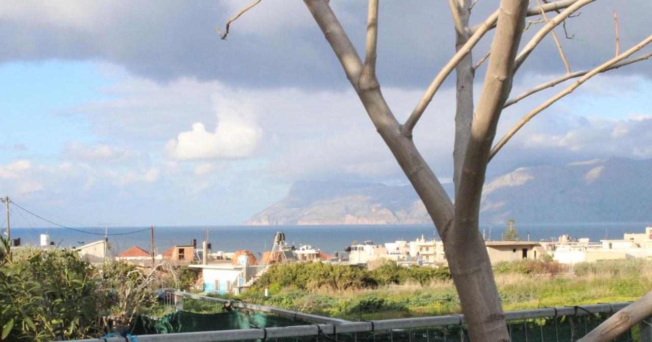 Kallia's Modern * Κίσσαμος